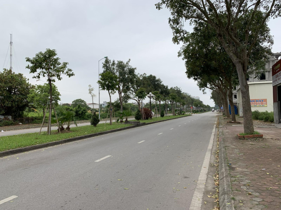 Bán đất MP Nguyễn Khang: DT 95m2, MT 5m, lô góc,Vị Trí Đẹp giá 19.2 tỷ